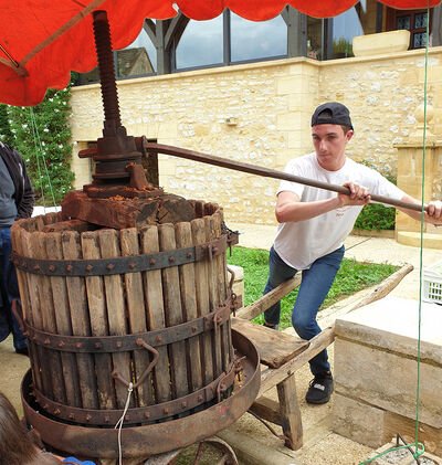 Photographie du pressoir pour le jus de pomme